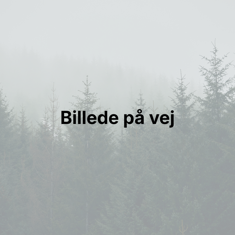 Bundplade
